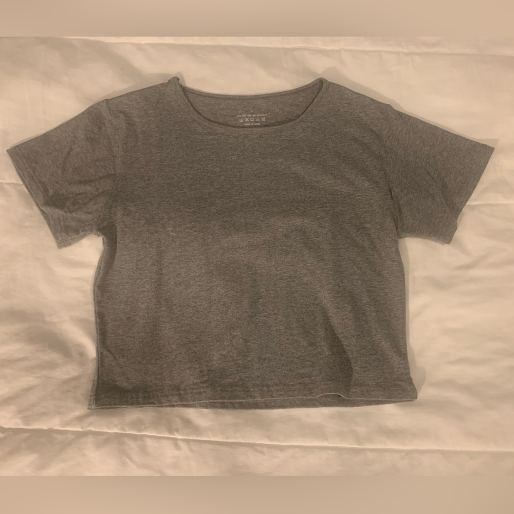 NWOT Gray cropped T-Shirt (medium/large)